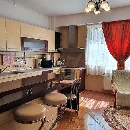 Dorobantilor Center - Perfect Shower & Terrace *