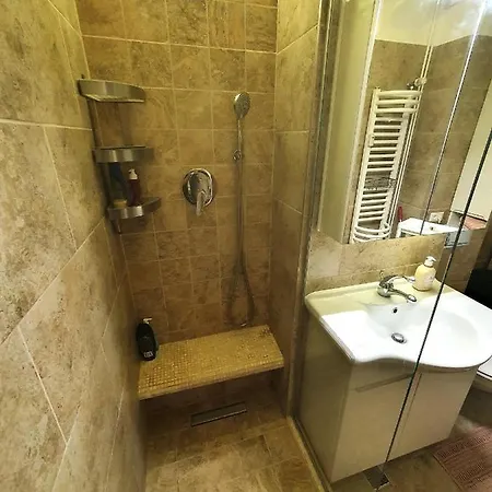 Dorobantilor Center - Perfect Shower & Terrace *